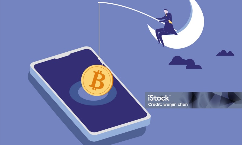 POLL币的发行价是多少?POLL币的发行价格及市场影响