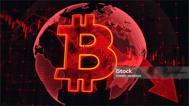 土狗币是什么？币圈土狗币的特性与风险评估