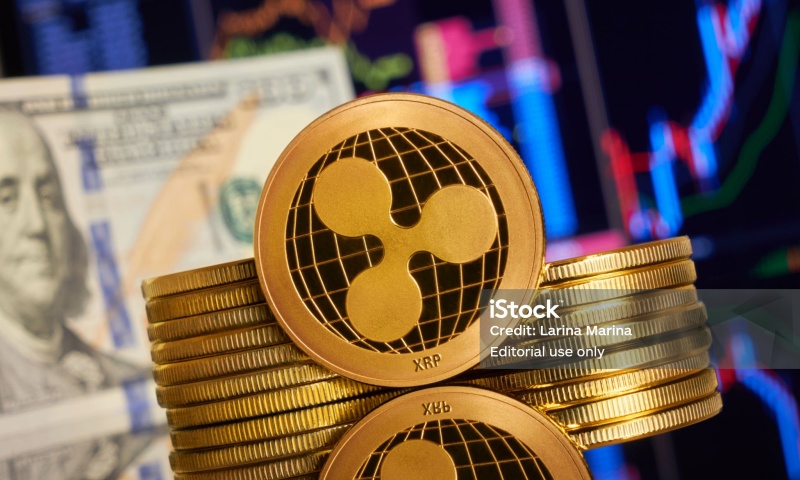 USDK币怎么样？USDK币的投资潜力与市场表现