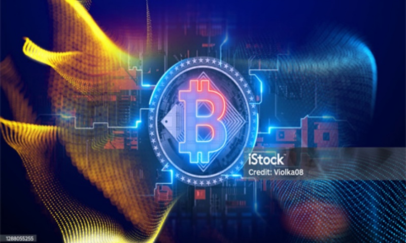 NBTC币是什么？了解NBTC币的市场机会与技术背景