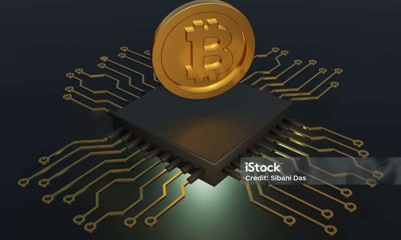 BEET币的总量是多少？BEET币的发行总量与流通情况